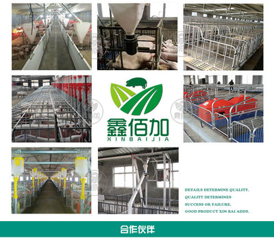 鑫佰加畜牧設備 專業打造犢牛用奶壺，助力高效養殖