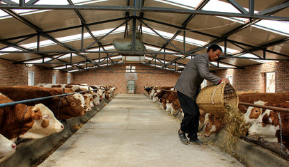 【走進“三農”】張家川五大產業齊并進（三）畜牧設備技術開發 賦能傳統養殖，驅動產業升級