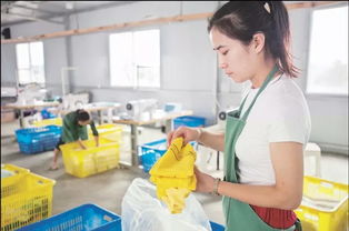 郊野小院里的日用雜品銷售夢(mèng)