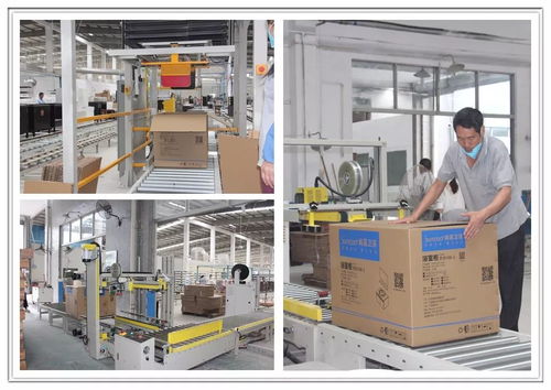 工廠巨變 從百人到十人，浴室柜行業的生產革命與市場陣痛